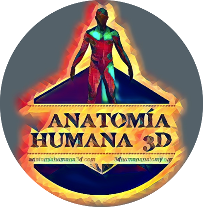 Anatomía Humana 3D – UACH